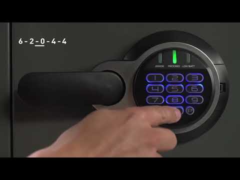 CAJA FUERTE DIGITAL - SENTRY SAFE