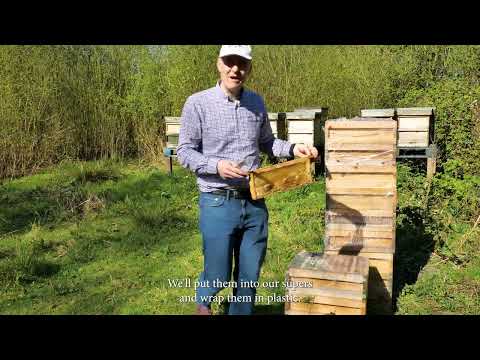 Adding Honey Supers in Early Spring | Manchester Honey Company Beekeeping Update 🐝