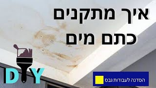 איך מתקנים כתם מים על קירות או תקרה.