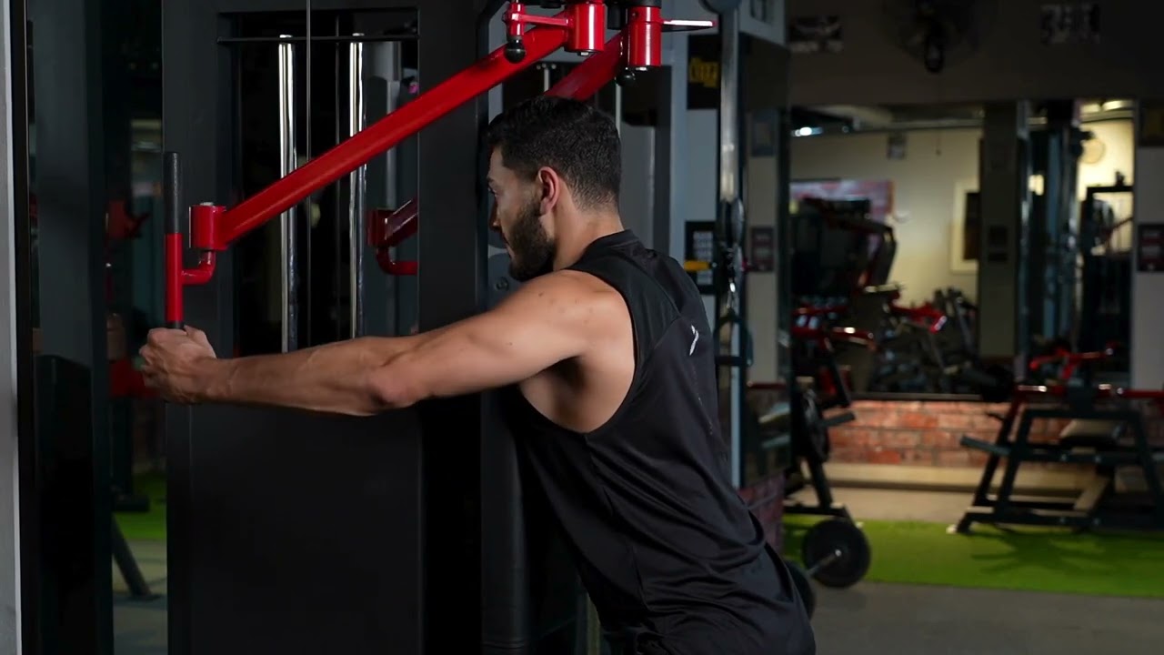 Reverse Pec Deck Machine (Hammer Grip) exercise