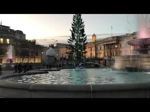 Trivago Square Sight Seeing