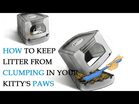 How to Keep Litter from Clumping in Your Kitty's Paws