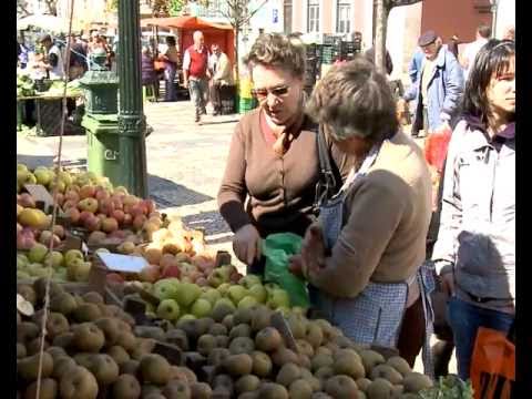 Prove Portugal - Estremadura - Mercado das Caldas da Rainha e Loiça Bordallo Pinheiro