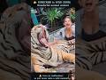 19 AMAZING Animal Clips You MUST See WILD ZOOM Animals Animalshorts Animalclips