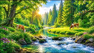 Soothe Your Nervous System 🌿 Healing Music with Gentle Water Sounds for Deep Relaxation
