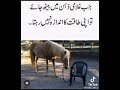 Gulami Status