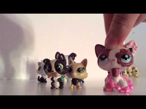 Opening And Reviewing Lps Family Packs