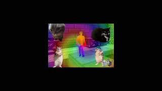 【音mad】「米津のアジール」 #猫ミーム #shorts