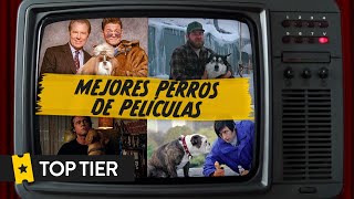 Los mejores perros de películas | TOP TIER #9