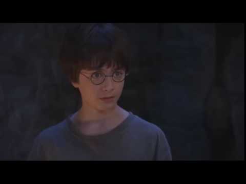 Harry Potter - I'm A What? You're A F*cking Idiot