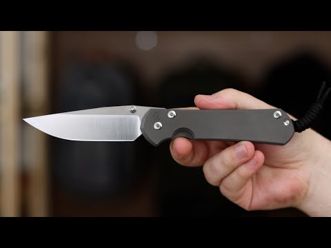 Chris Reeve Large Sebenza 31 Silver Double Lugs Polished S45VN
