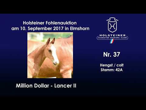 Nr. 37 v. Million Dollar - Lancer II