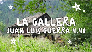 Juan Luis Guerra 4.40 - La Gallera (Video Oficial)