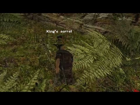 Gothic II: The Chronicles Of Myrtana - King's Sorrel next to the city's gate