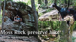 Hiking in Alabama | best hike in Birmingham, AL | hiking with our whippet puppy