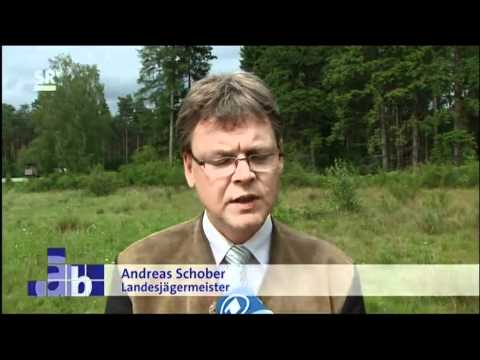 Borger im Visier von OeJV und VJS.mp4