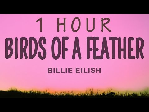 [1 HOUR 🕐 ] Billie Eilish - BIRDS OF A FEATHER (Lyrics)