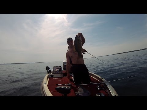 GoPro: Daniel Vyerberg - Best Catch 06.07.15 - Fish