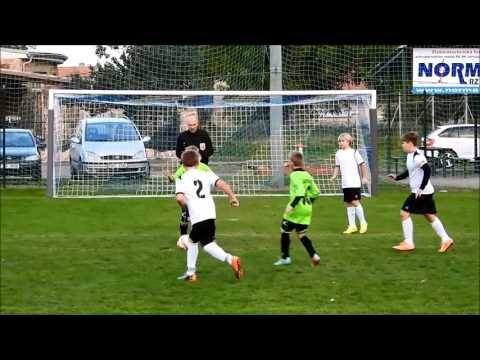 Mladší žáci - Čechovice - Loštice 11 : 2