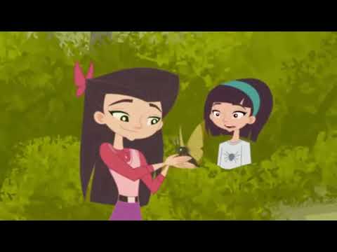 Insectiva and Arachnidia