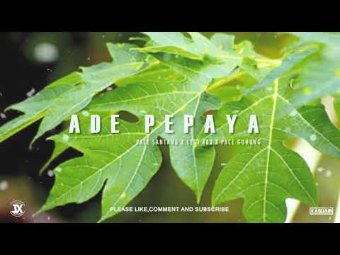 Ade pepaya - pace santana X legi 483 X pace gunung