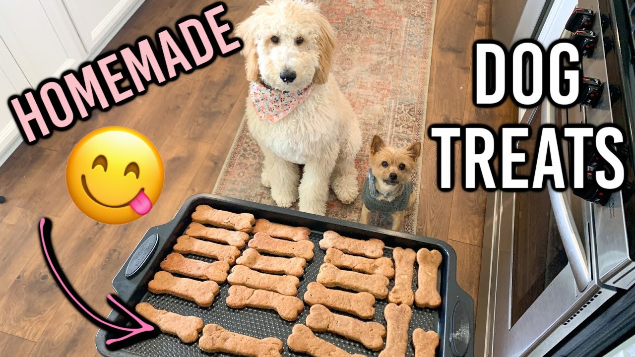 TWO HOMEMADE DOG TREAT RECIPES | COOKING FOR YOUR DOG