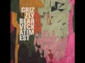 Grizzly Bear - Alligator