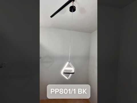 Миниатюра изображения товара Потолочный светильник Aitin-Pro PP801/1 (черный)