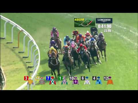 [HKIR 2016] AEROVELOCITY lands the LONGINES Hong Kong Sprint