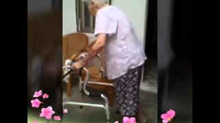 Download lagu Layang sworo babu taiwan mp3