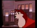 Balto Jenna Kodi Why Didn T You Go