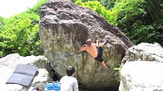 御手洗 ハリガネムシ 二段