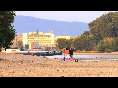Der Blutmond-Ein Jahrhundertereignis- Sommer2018 in Biebesheim
