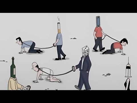 Dzhewo KD Unoficial Baygin Joe Biden 2024