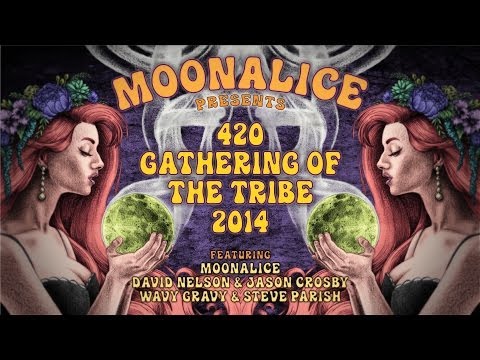 Moonalice 420 Gathering of the Tribe 2014