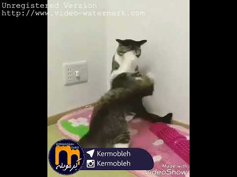 ۲۵ آوریل ۲۰۲۴