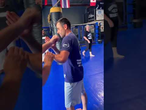 Self Defense – Intercepting or Stopping the Punch