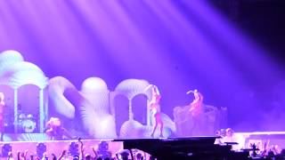 Lady Gaga - PARTYNAUSEOUS - Pittsburgh 5/8/14 - artRAVE