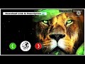Wahran Ringtone Randall Wahran Ringtone Bgm Ringtone Download Link Nawadih Status
