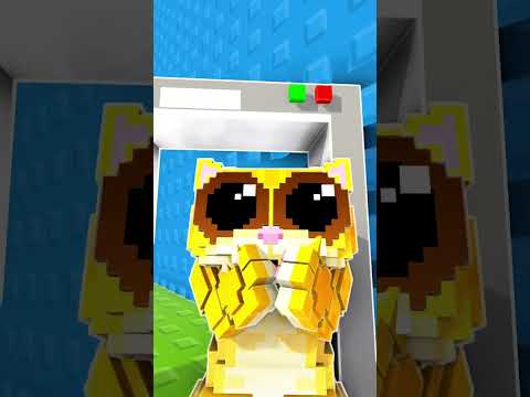 SAMMY vs BRUNITO MARSITO in NEW 67 RAINBOW CHALLENGE in - STEAL a BRAINROT Roblox and ESCAPE TSUNAMI