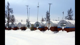 Warmest home at 70 degrees Celsius below zero.