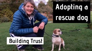 Adopting a Rescue Dog - Building Trust