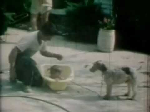 John Belushi Funny Your Should Ask (Belushi Family Home Movies)