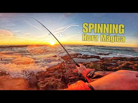 Sea bass in the foam at sunset – Incredible fishing! 🌅 Spinning Portugal
