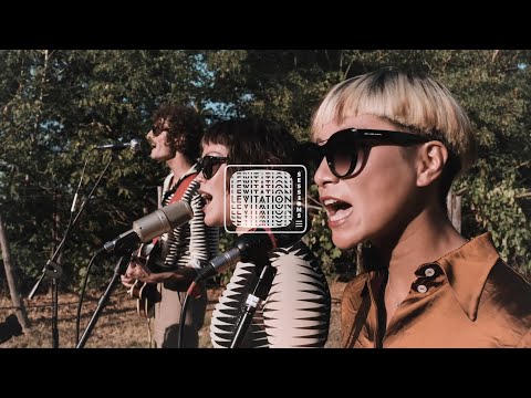 Dumbo Gets Mad - Eclectic Prawn (Levitation Sessions)