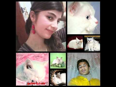 özlem ay parcasi feat gulce & ensar  2011