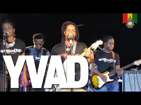 YVAD Live at Wickie Wackie Music Festival 2015