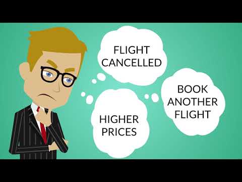 Flight Guard - the problem & our solution logo