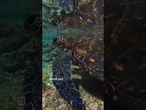 Touros Río grande do Norte, praia de Carnaubinha litoral norte, nordeste brasileiro.🏖️🌴🏘️🇧🇷