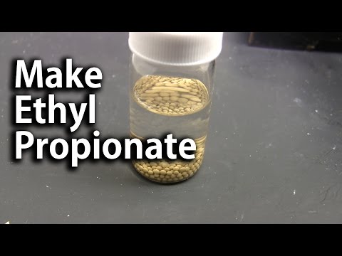 Make Ethyl Propionate by Fischer Esterification